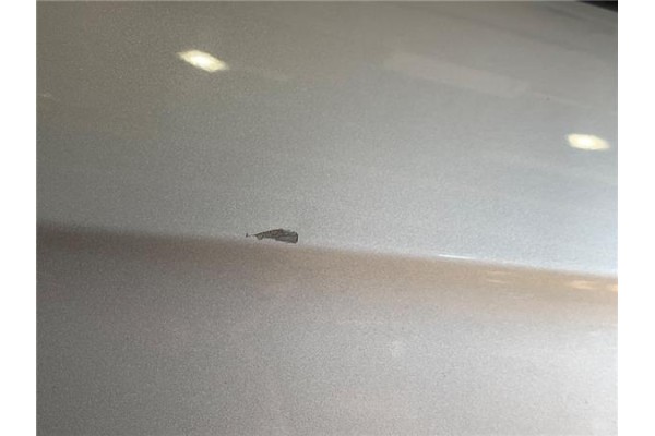 Recambio de puerta trasero izquierda para mercedes-benz clase a (bm 169) 1.7 a 170 (169.032) referencia OEM IAM A1697301905   Recambio de puerta trasero izquierda para mercedes-benz clase a (bm 169) 1.7 a 170 (169.032) referencia OEM IAM A1697301905