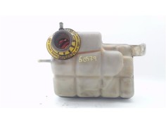 BOTELLA EXPANSION 52079518