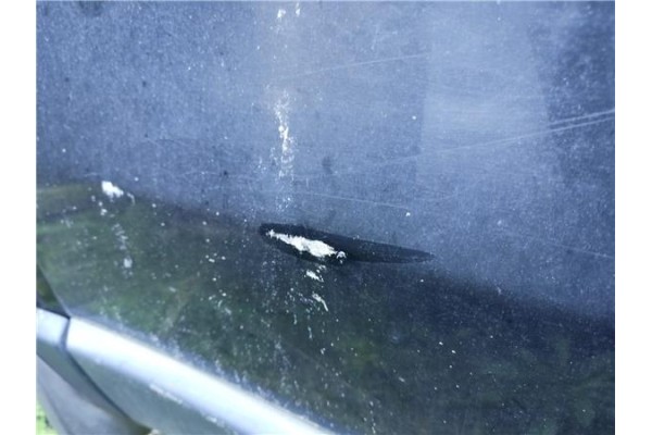 Recambio de puerta delantero izquierda para honda cr-v iii 2.0 i referencia OEM IAM   