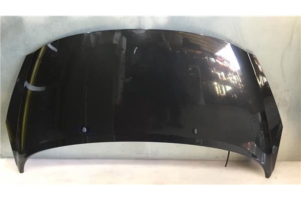 Recambio de capo para peugeot 207 1.6 confort referencia OEM IAM 7901N2 5033536 