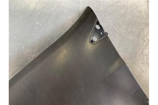 Recambio de aleta delantero izquierda para renault clio iii 1.5 dci (br17, cr17) referencia OEM IAM 631014270R  