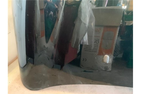 Recambio de capo para mini mini (r50,r53) 1.6 cooper referencia OEM IAM 41617067753  