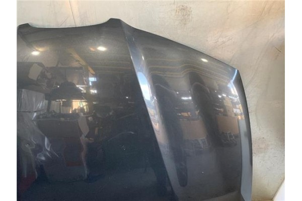 Recambio de capo para seat ibiza (6l1) 1.4 fresh referencia OEM IAM 6L0823031D  