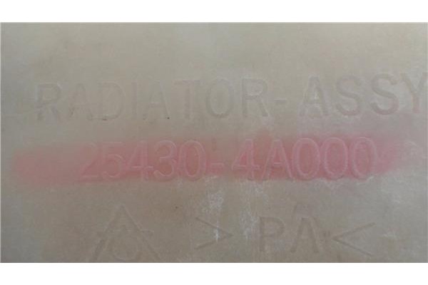 Recambio de botella expansion para hyundai h-1 furgón 2.5 td referencia OEM IAM 254304A000  