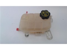 BOTELLA EXPANSION 95380033 