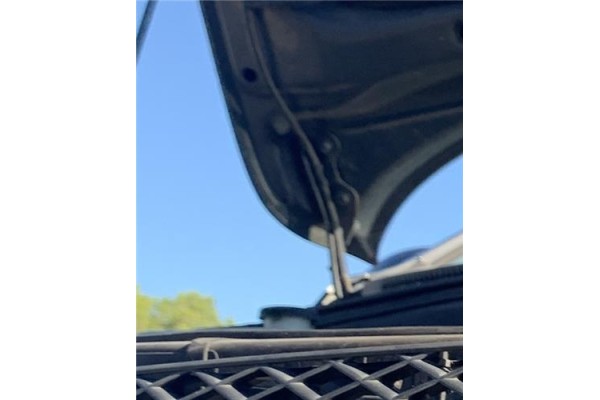 Recambio de bisagra capo derecha para kia ceed sportswagon (ed) 2.0 emotion referencia OEM IAM 791201H000  