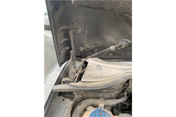 Recambio de bisagra capo derecha para seat leon (1p1) 1.9 tdi referencia OEM IAM 1P0823302  