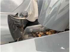 Recambio de bisagra capo derecha para seat leon (1p1) 1.9 tdi referencia OEM IAM 1P0823302  