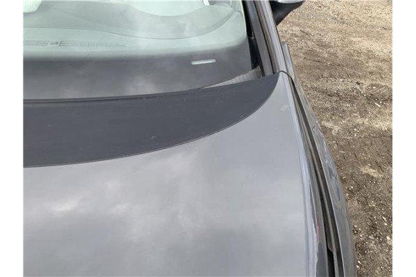 Recambio de capo para seat leon (1p1) 1.9 tdi referencia OEM IAM 1P0823031A  