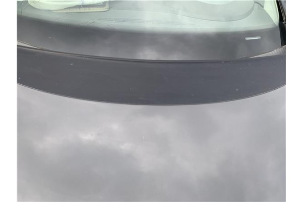 Recambio de capo para seat leon (1p1) 1.9 tdi referencia OEM IAM 1P0823031A  