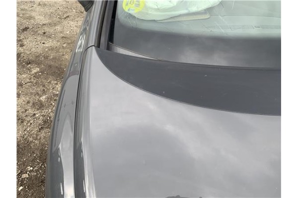 Recambio de capo para seat leon (1p1) 1.9 tdi referencia OEM IAM 1P0823031A  