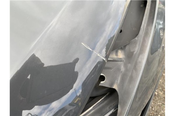 Recambio de capo para seat leon (1p1) 1.9 tdi referencia OEM IAM 1P0823031A  