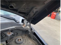 BISAGRA CAPO IZQUIERDA 4589117AD 