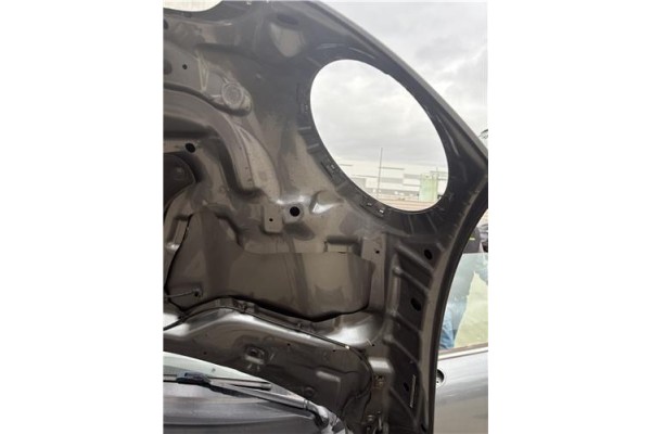 Recambio de capo para mini mini (r56) 1.6 cooper s referencia OEM IAM 41612754738  