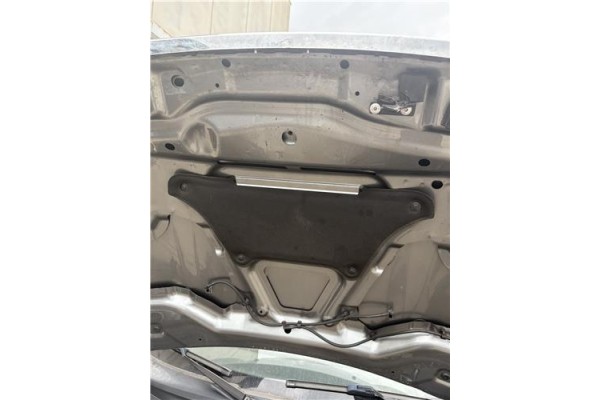 Recambio de capo para mini mini (r56) 1.6 cooper s referencia OEM IAM 41612754738  