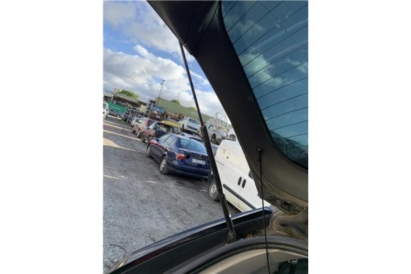 Recambio de amortiguador porton para citroen c4 picasso 1.6 hdi referencia OEM IAM 9654433480 D56070 