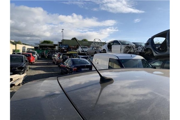 Recambio de antena electrica para citroen c4 picasso 1.6 hdi referencia OEM IAM 6561JQ 6561JT 