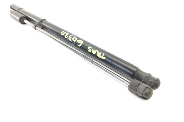 Recambio de amortiguador porton para ford c-max (cb7) 1.6 titanium referencia OEM IAM AM51R406A10AE  