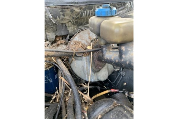 Recambio de servofreno para peugeot 604 2.3 srd-turbo referencia OEM IAM 453570  