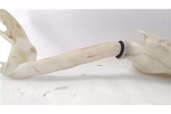 Recambio de deposito limpiaparabrisas para citroen c3 picasso 1.6 exclusive referencia OEM IAM 968173528000  