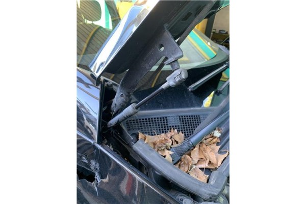 Recambio de amortiguador capo para renault grand scénic iii (jz0/1_) 1.5 dci referencia OEM IAM 654700008R  