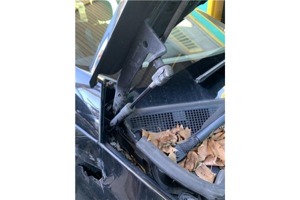 Recambio de amortiguador capo para renault grand scénic iii (jz0/1_) 1.5 dci referencia OEM IAM 654700008R  