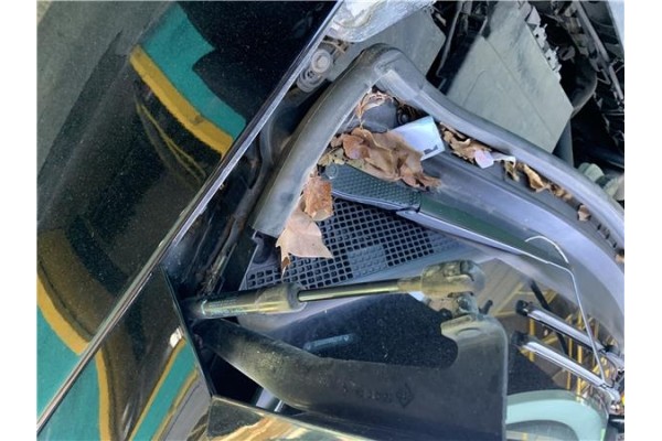 Recambio de amortiguador capo para renault grand scénic iii (jz0/1_) 1.5 dci referencia OEM IAM 654700008R  