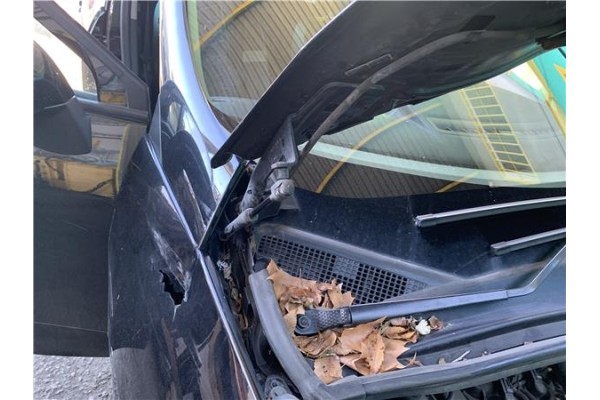 Recambio de amortiguador capo para renault grand scénic iii (jz0/1_) 1.5 dci referencia OEM IAM 654700008R  