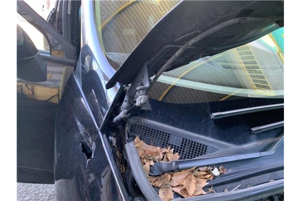 Recambio de amortiguador capo para renault grand scénic iii (jz0/1_) 1.5 dci referencia OEM IAM 654700008R  