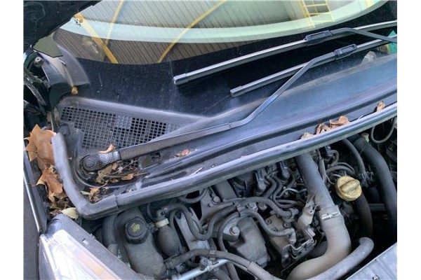 Recambio de brazo limpiaparabrisas delantero derecho para renault grand scénic iii (jz0/1_) 1.5 dci referencia OEM IAM 288865664