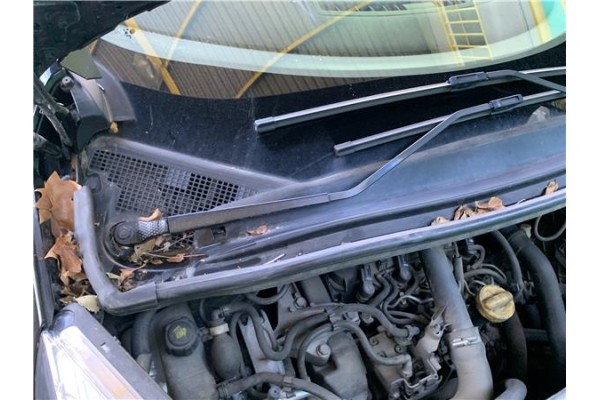 Recambio de brazo limpiaparabrisas delantero derecho para renault grand scénic iii (jz0/1_) 1.5 dci referencia OEM IAM 288865664