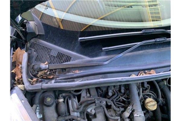 Recambio de brazo limpiaparabrisas delantero derecho para renault grand scénic iii (jz0/1_) 1.5 dci referencia OEM IAM 288865664