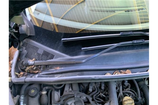 Recambio de brazo limpiaparabrisas delantero derecho para renault grand scénic iii (jz0/1_) 1.5 dci referencia OEM IAM 288865664