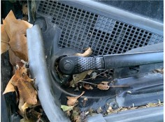 Recambio de brazo limpiaparabrisas delantero derecho para renault grand scénic iii (jz0/1_) 1.5 dci referencia OEM IAM 288865664