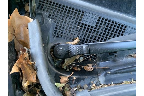 Recambio de brazo limpiaparabrisas delantero derecho para renault grand scénic iii (jz0/1_) 1.5 dci referencia OEM IAM 288865664