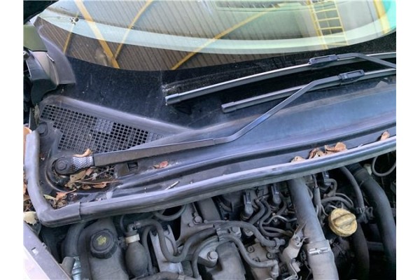 Recambio de brazo limpiaparabrisas delantero derecho para renault grand scénic iii (jz0/1_) 1.5 dci referencia OEM IAM 288865664