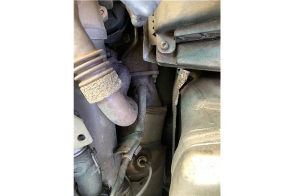 Recambio de catalizador para audi a4 avant (8k5) 2.0 básico referencia OEM IAM 8K0178BA 8K0254750NX 