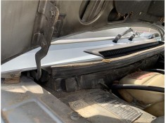 BISAGRA CAPO DERECHA 791314 