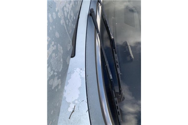 Recambio de brazo limpiaparabrisas delantero izquierdo para peugeot 604 2.3 srd-turbo referencia OEM IAM 147XD2S  