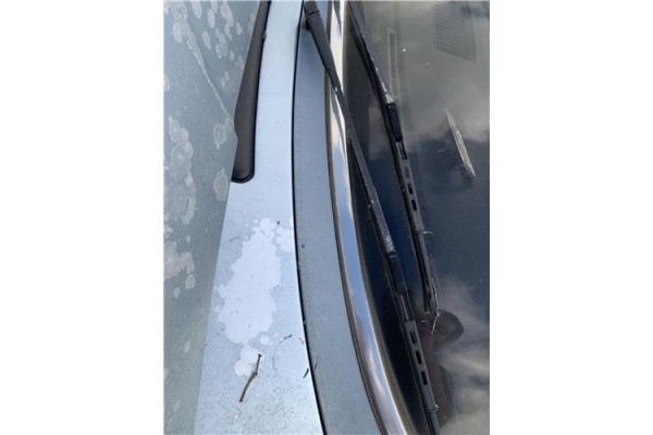 Recambio de brazo limpiaparabrisas delantero izquierdo para peugeot 604 2.3 srd-turbo referencia OEM IAM 147XD2S  