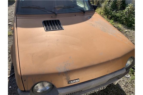 Recambio de capo para seat ritmo (138) 1.2 referencia OEM IAM 12AC64CV47KW  