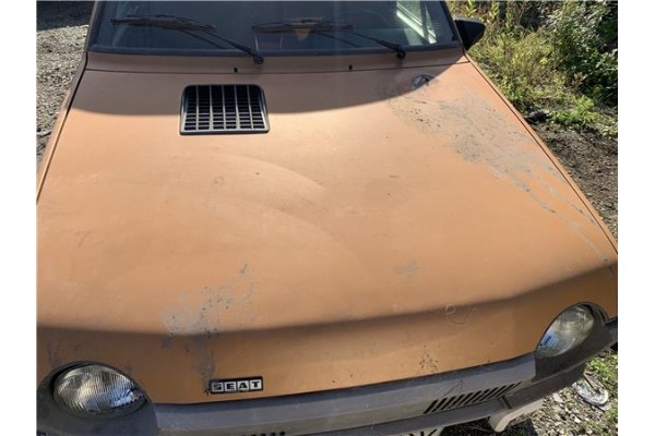 Recambio de capo para seat ritmo (138) 1.2 referencia OEM IAM 12AC64CV47KW  