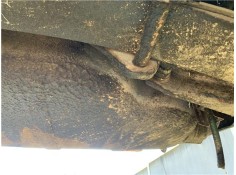 Recambio de deposito combustible para seat ritmo (138) 1.2 referencia OEM IAM 12AC64CV47KW  