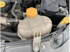 BOTELLA EXPANSION 13312277 