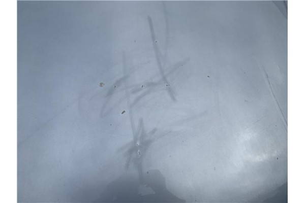 Recambio de capo para opel corsa d 1.2 referencia OEM IAM 95514714  