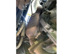 CATALIZADOR 55564503 