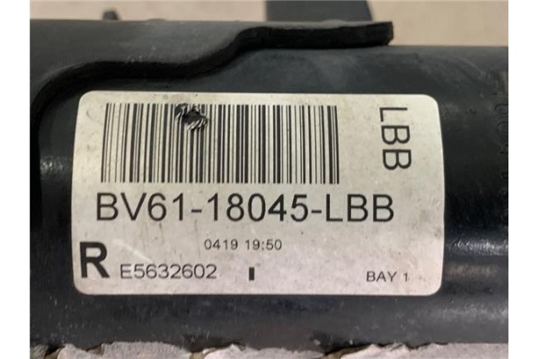 Recambio de amortiguador delantero derecho para ford focus berlina (cew) 1.5 business referencia OEM IAM   
