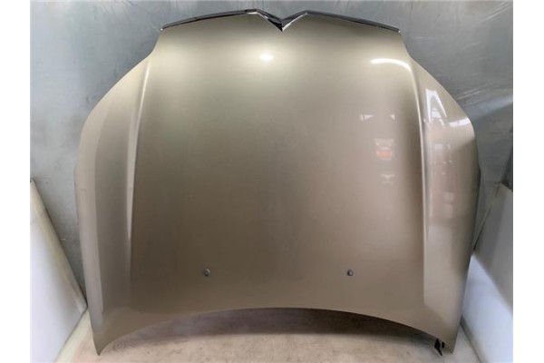 Recambio de capo para citroen c5 berlina 2.0 audace referencia OEM IAM   