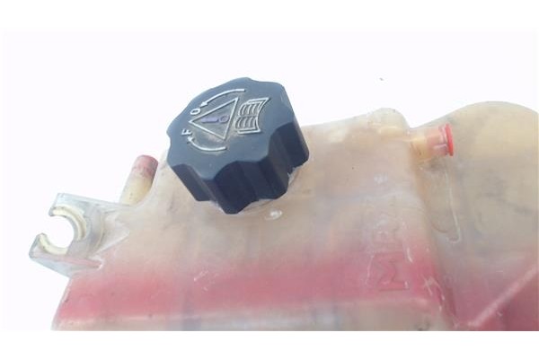 Recambio de botella expansion para citroen xsara berlina 2.0 hdi 90 referencia OEM IAM PSA9646902580  