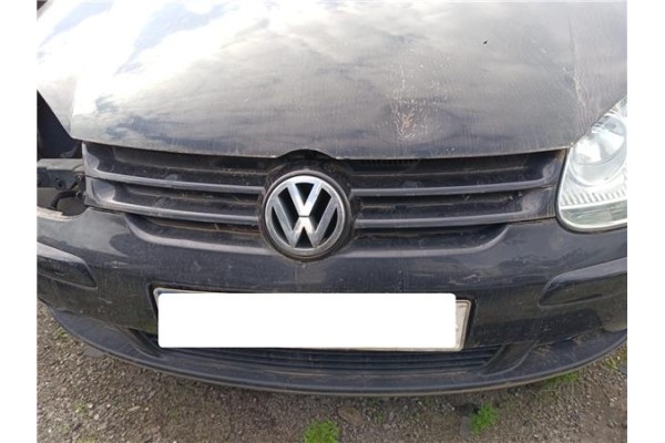 Recambio de rejilla capo para volkswagen golf v (1k1) 1.9 tdi referencia OEM IAM   